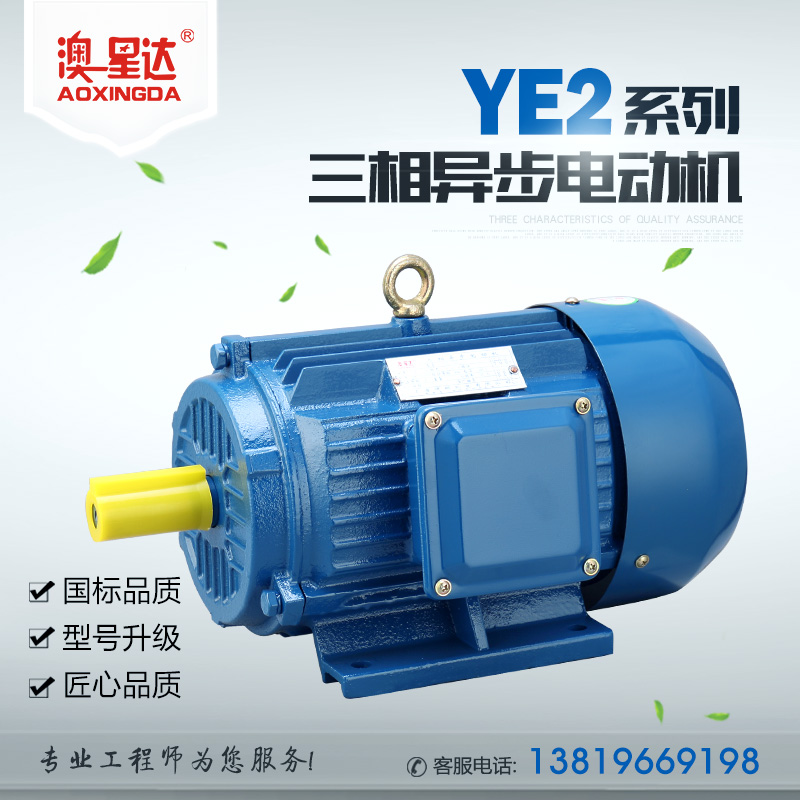 YE2系列三相异步电动机