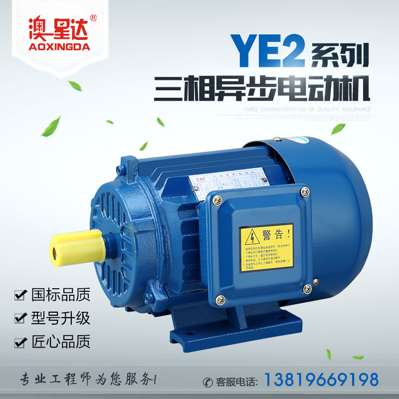 YE2系列三相异步电动机
