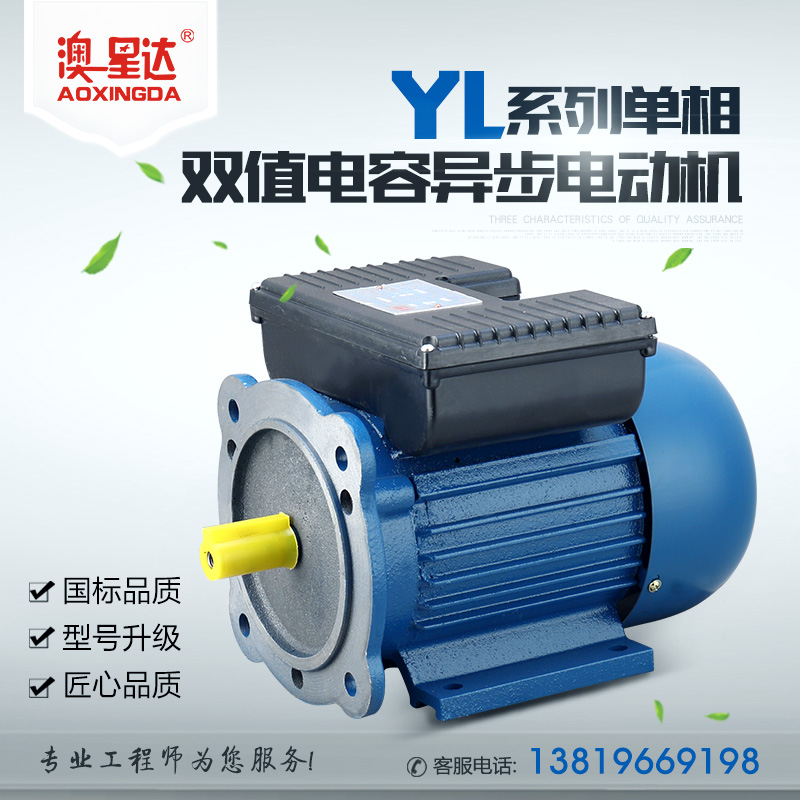 YL系列单相双值电容异步电动机