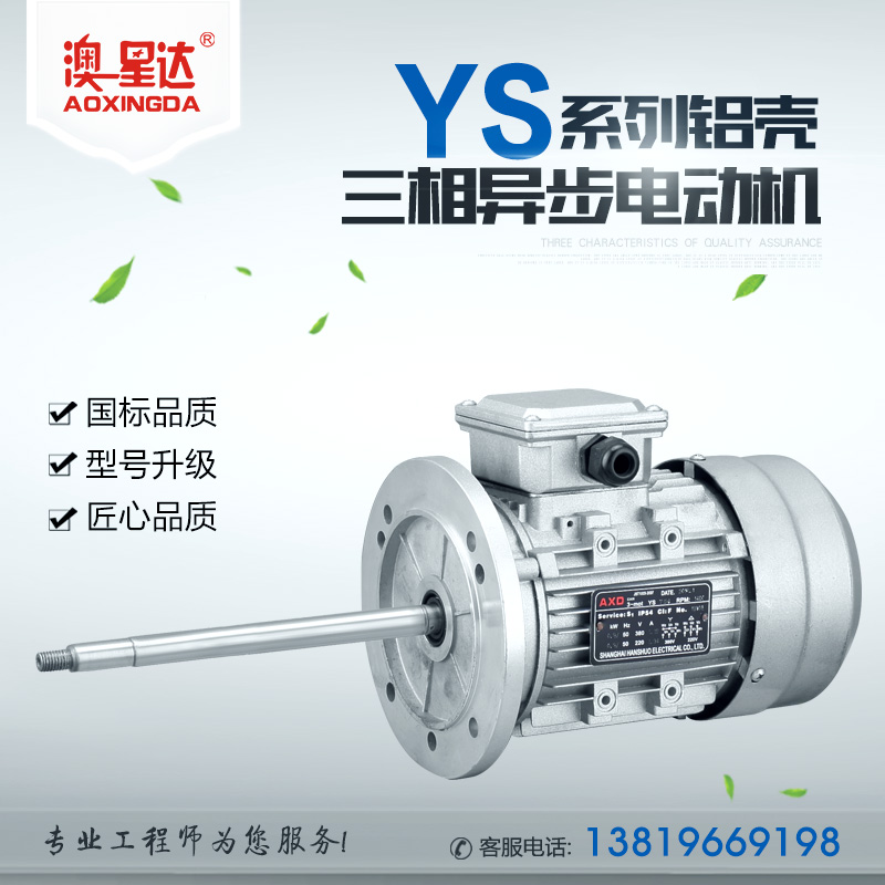 YS系列铝壳三相异步电动机