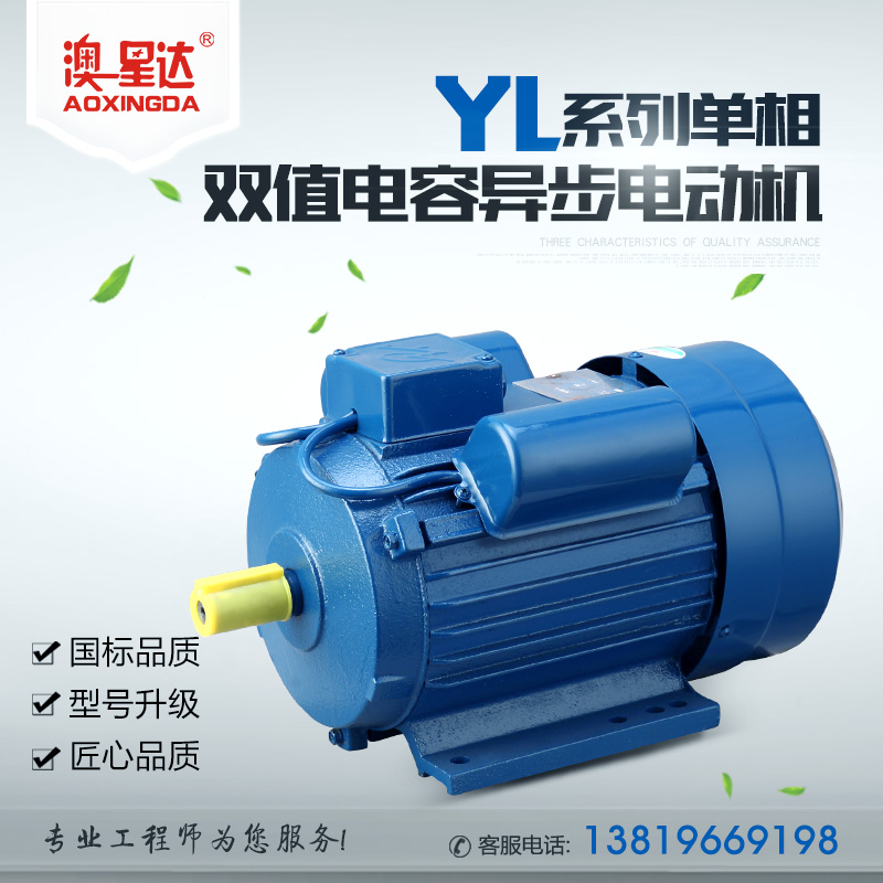 YL系列单相双值电容异步电动机