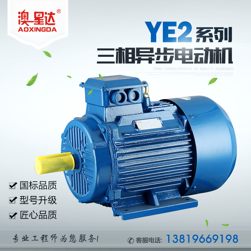 YE2系列三相异步电动机